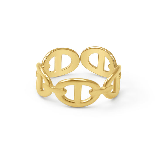 intertwined link ring