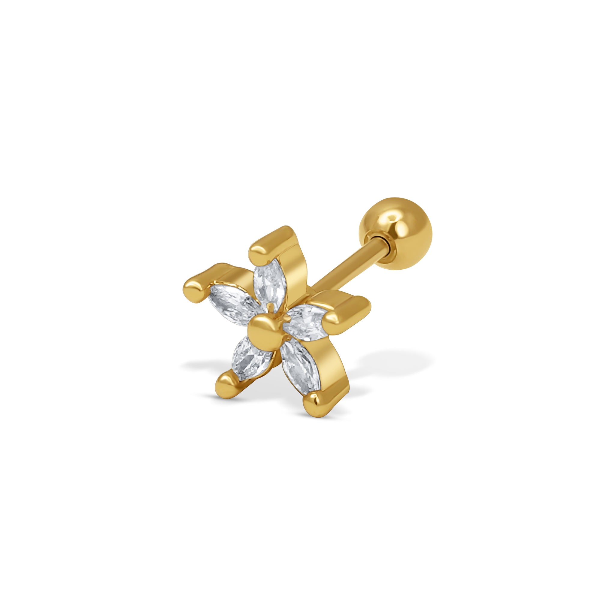 PIERCING IRIS