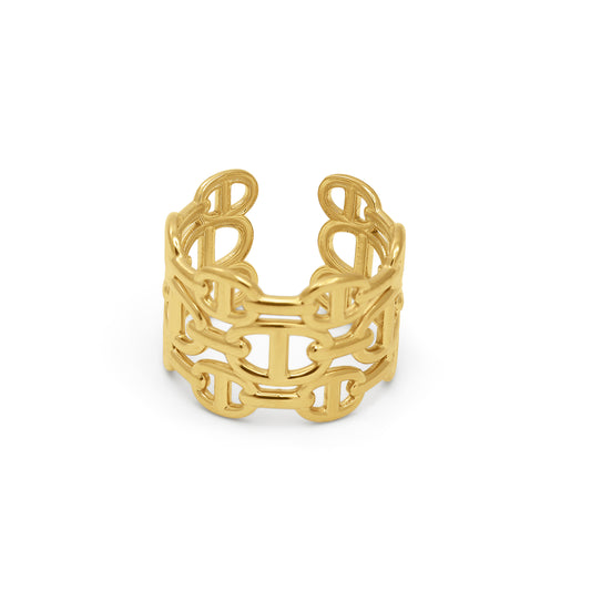 Interlaced link ring 