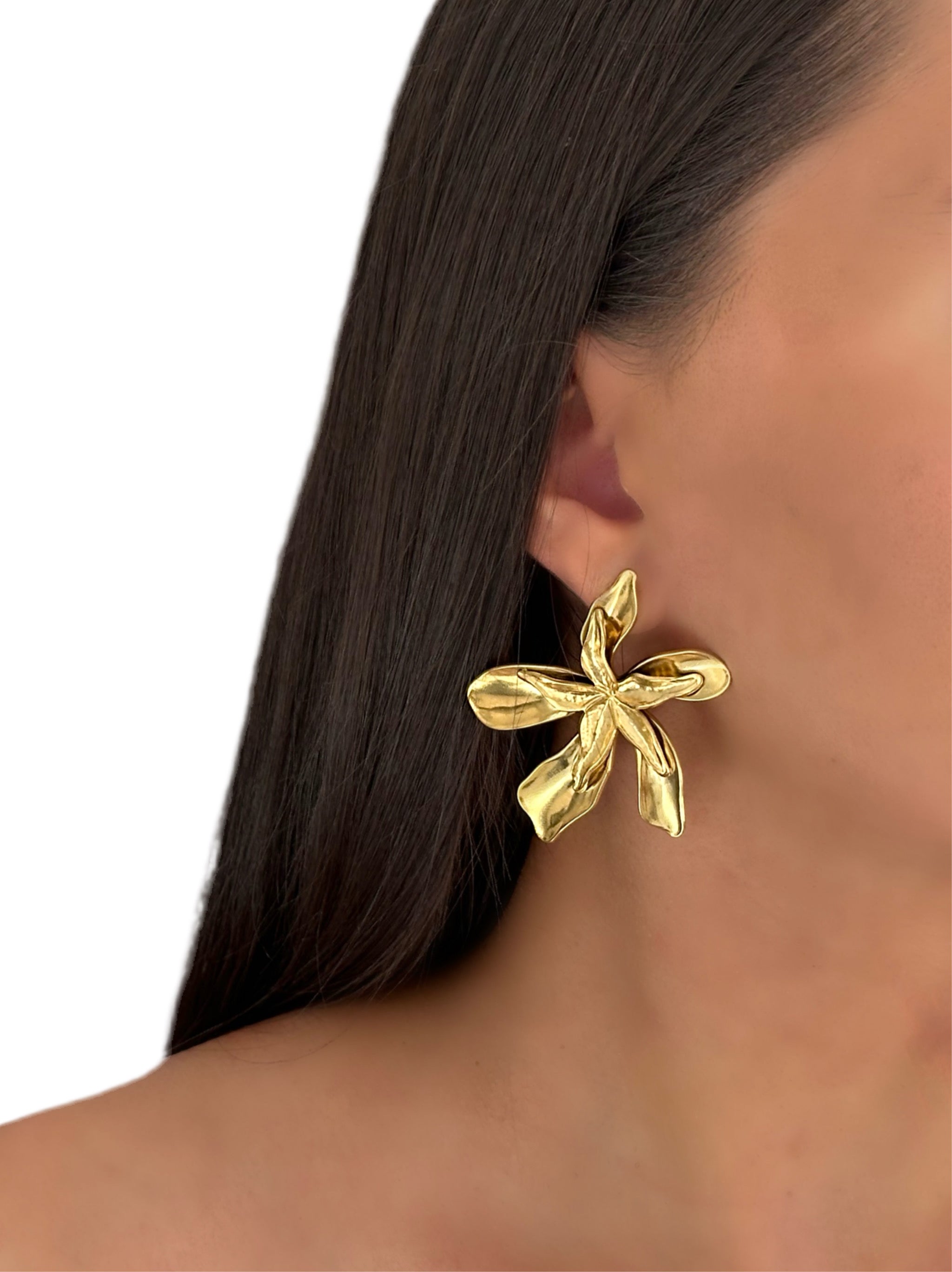 Boucle d’oreille iris