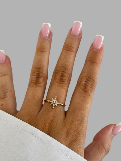 Meteorite ring
