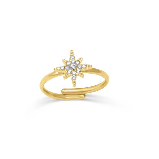 Meteorite ring