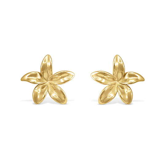 Tahiti earrings 