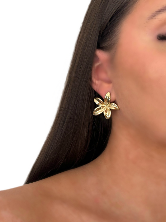 Boucles d’oreilles Tahiti